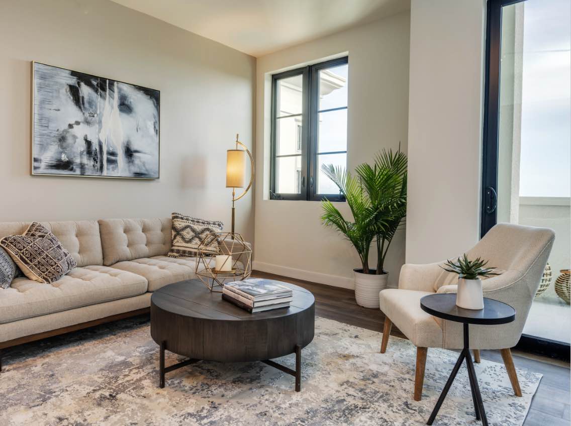 photo of living room with sofa and chair, dark brown coffee table, fern plant and large area rug